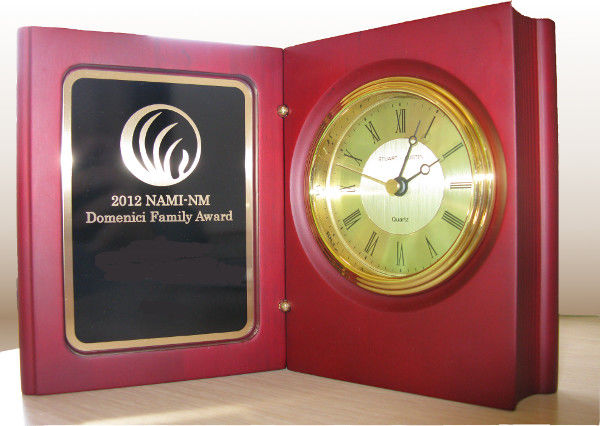 Faye Janzad - NAMI AWARD